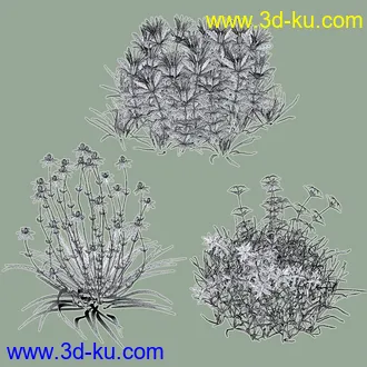 3D打印模型My Nature Collection 2的图片