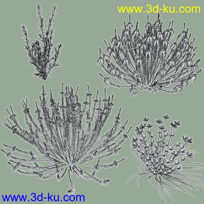 My Nature Collection 2模型的图片10