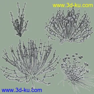 3D打印模型My Nature Collection 2的图片