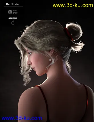 3D打印模型Nadae Bun Hair Set For Genesis 3 and 8 Females的图片