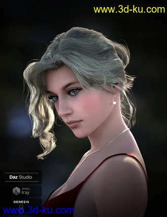 3D打印模型Nadae Bun Hair Set For Genesis 3 and 8 Females的图片