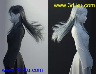 3D打印模型Natsuki Hair for Genesis 8 Females的图片