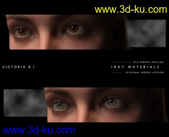 3D打印模型Natural Eyes II for Genesis 8.1 Females and Males的图片