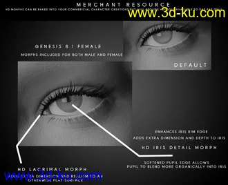3D打印模型Natural Eyes II for Genesis 8.1 Females and Males的图片
