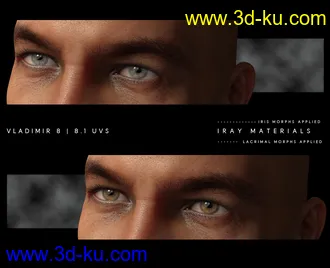 3D打印模型Natural Eyes II for Genesis 8.1 Females and Males的图片