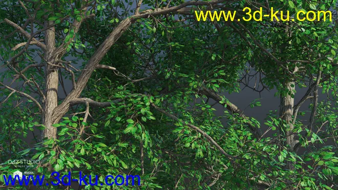 Nature Trees Pack 5模型的图片2
