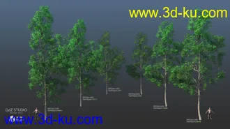 3D打印模型Nature Trees Pack 5的图片
