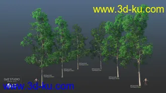 3D打印模型Nature Trees Pack 5的图片