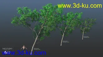 3D打印模型Nature Trees Pack 5的图片