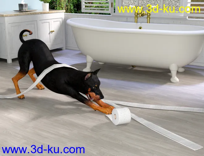 Naughty Dog Props and Poses for Daz Dog 8模型的图片6