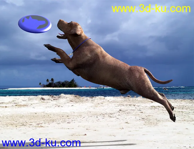 Naughty Dog Props and Poses for Daz Dog 8模型的图片8