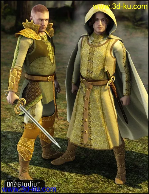 Navarre模型的图片1