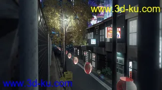 3D打印模型Night In Tokyo的图片