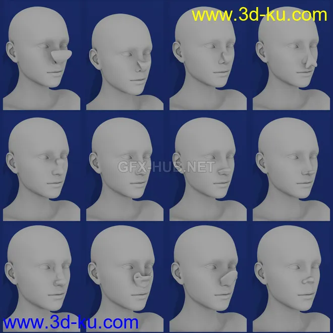 Nose Morphs for Genesis 8 Female模型的图片1