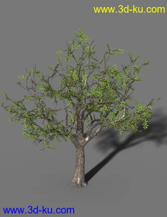 3D打印模型On The Farm Orchard的图片