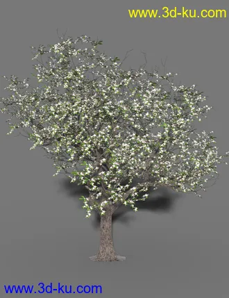 3D打印模型On The Farm Orchard的图片