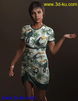3D打印模型Only Dress for Genesis 8 Female的图片