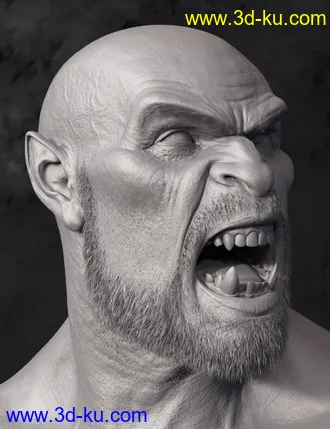 3D打印模型Orken HD for Genesis 8 Male的图片