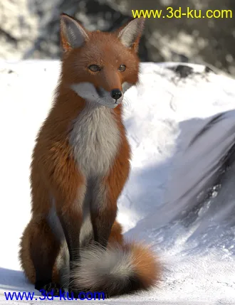 3D打印模型Oso Fox for Daz Dog 8 with dForce Hair的图片