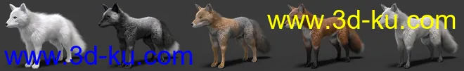 Oso Fox for Daz Dog 8 with dForce Hair模型的图片2