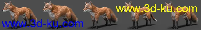 Oso Fox for Daz Dog 8 with dForce Hair模型的图片3