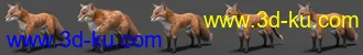 3D打印模型Oso Fox for Daz Dog 8 with dForce Hair的图片
