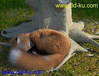 3D打印模型Oso Fox for Daz Dog 8 with dForce Hair的图片