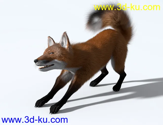 Oso Fox for Daz Dog 8 with dForce Hair模型的图片5