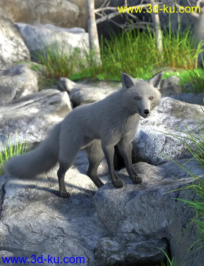 Oso Fox for Daz Dog 8 with dForce Hair模型的图片6