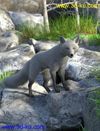 3D打印模型Oso Fox for Daz Dog 8 with dForce Hair的图片