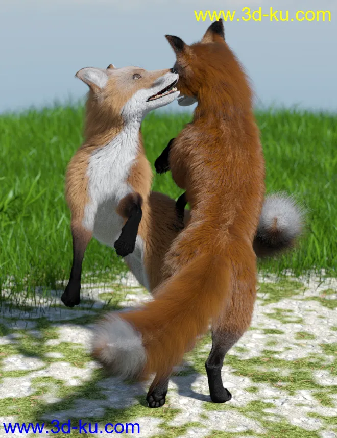 Oso Fox for Daz Dog 8 with dForce Hair模型的图片7