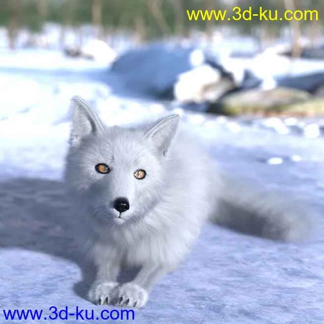 Oso Fox for Daz Dog 8 with dForce Hair模型的图片8