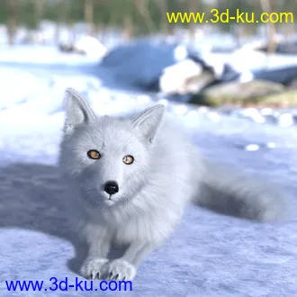 3D打印模型Oso Fox for Daz Dog 8 with dForce Hair的图片