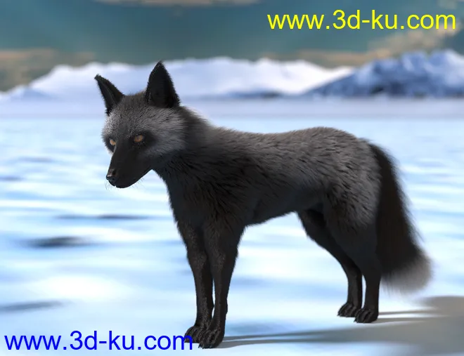 Oso Fox for Daz Dog 8 with dForce Hair模型的图片9