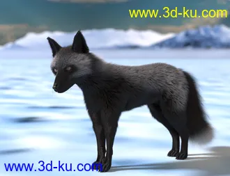 3D打印模型Oso Fox for Daz Dog 8 with dForce Hair的图片