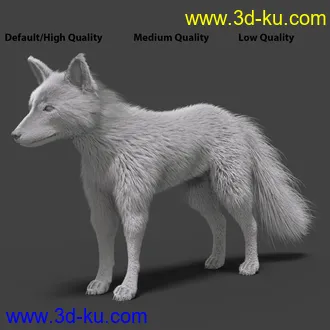 3D打印模型Oso Fox for Daz Dog 8 with dForce Hair的图片