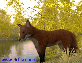 3D打印模型Oso Fox for Daz Dog 8 with dForce Hair的图片