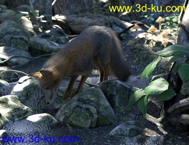 Oso Fox for Daz Dog 8 with dForce Hair模型的图片13