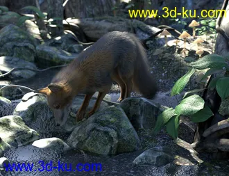 3D打印模型Oso Fox for Daz Dog 8 with dForce Hair的图片
