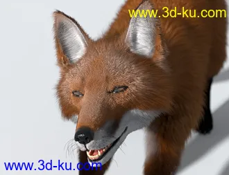 3D打印模型Oso Fox for Daz Dog 8 with dForce Hair的图片