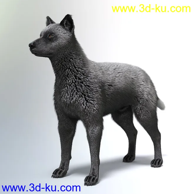 Oso Fox for Daz Dog 8 with dForce Hair模型的图片15