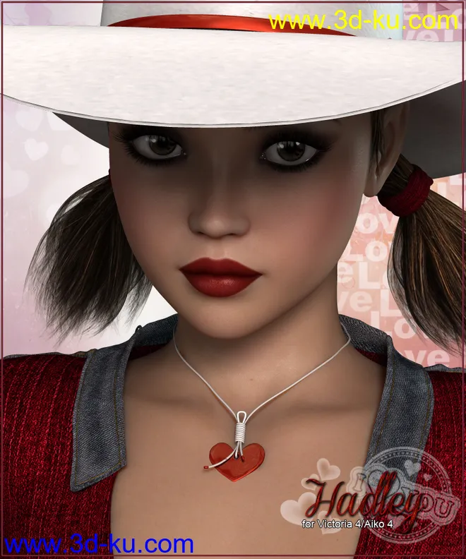 P3D Hadley模型的图片1