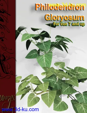 3D打印模型Philodendron gloryosum - Jungle Plants for Vue的图片