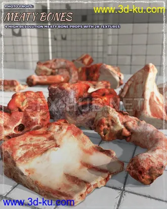 3D打印模型Photo Props Meaty Bones的图片