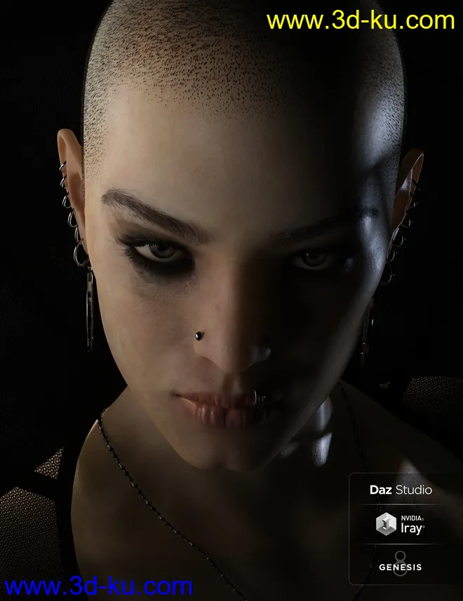 Phx Aer HD, Hair and Accessories for Genesis 8 Females模型的图片1