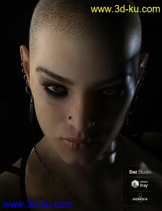 3D打印模型Phx Aer HD, Hair and Accessories for Genesis 8 Females的图片