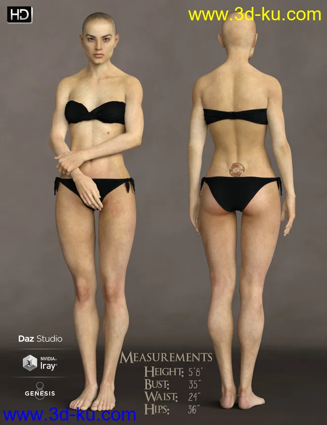 Phx Aer HD, Hair and Accessories for Genesis 8 Females模型的图片2