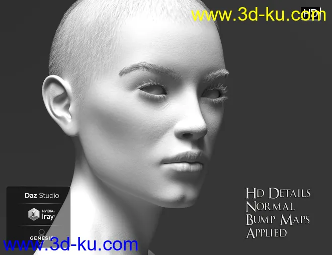 Phx Aer HD, Hair and Accessories for Genesis 8 Females模型的图片8