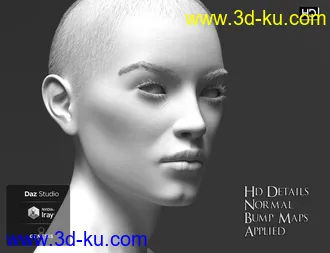 3D打印模型Phx Aer HD, Hair and Accessories for Genesis 8 Females的图片