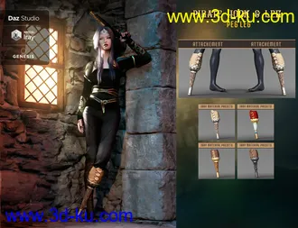 3D打印模型Pirate Hook and Leg for Genesis 8 Female(s)的图片